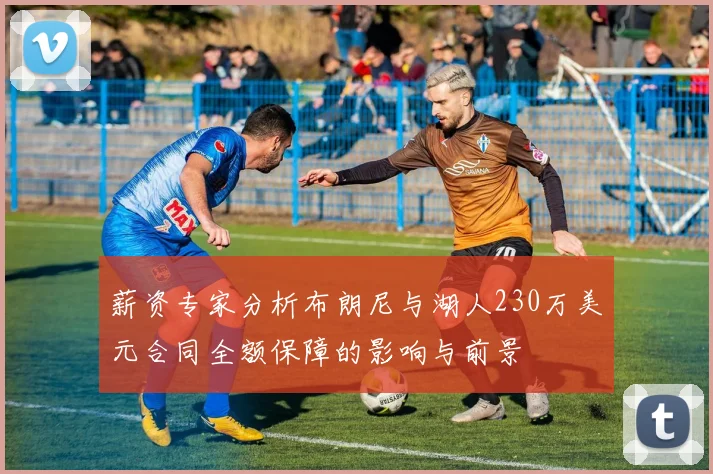 薪资专家分析布朗尼与湖人230万美元合同全额保障的影响与前景