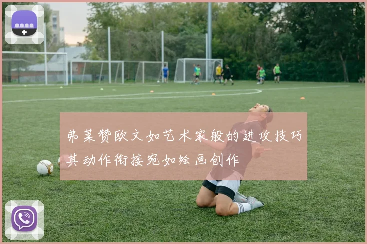 弗莱赞欧文如艺术家般的进攻技巧其动作衔接宛如绘画创作
