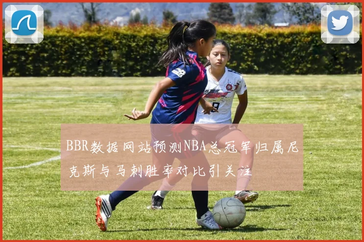 BBR数据网站预测NBA总冠军归属尼克斯与马刺胜率对比引关注